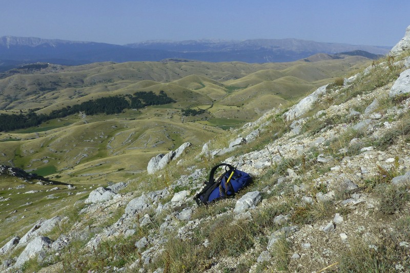 Le belle Epipactis sulle praterie di Campo Imperatore (AQ)  luglio 2025.